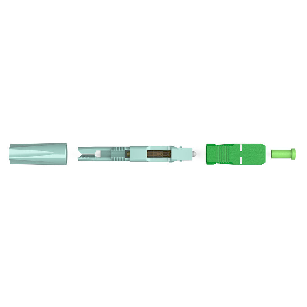 GC2667 - Basic Nut Type