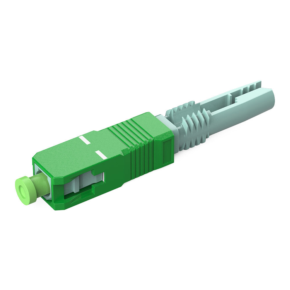 GC2667 - Basic Nut Type