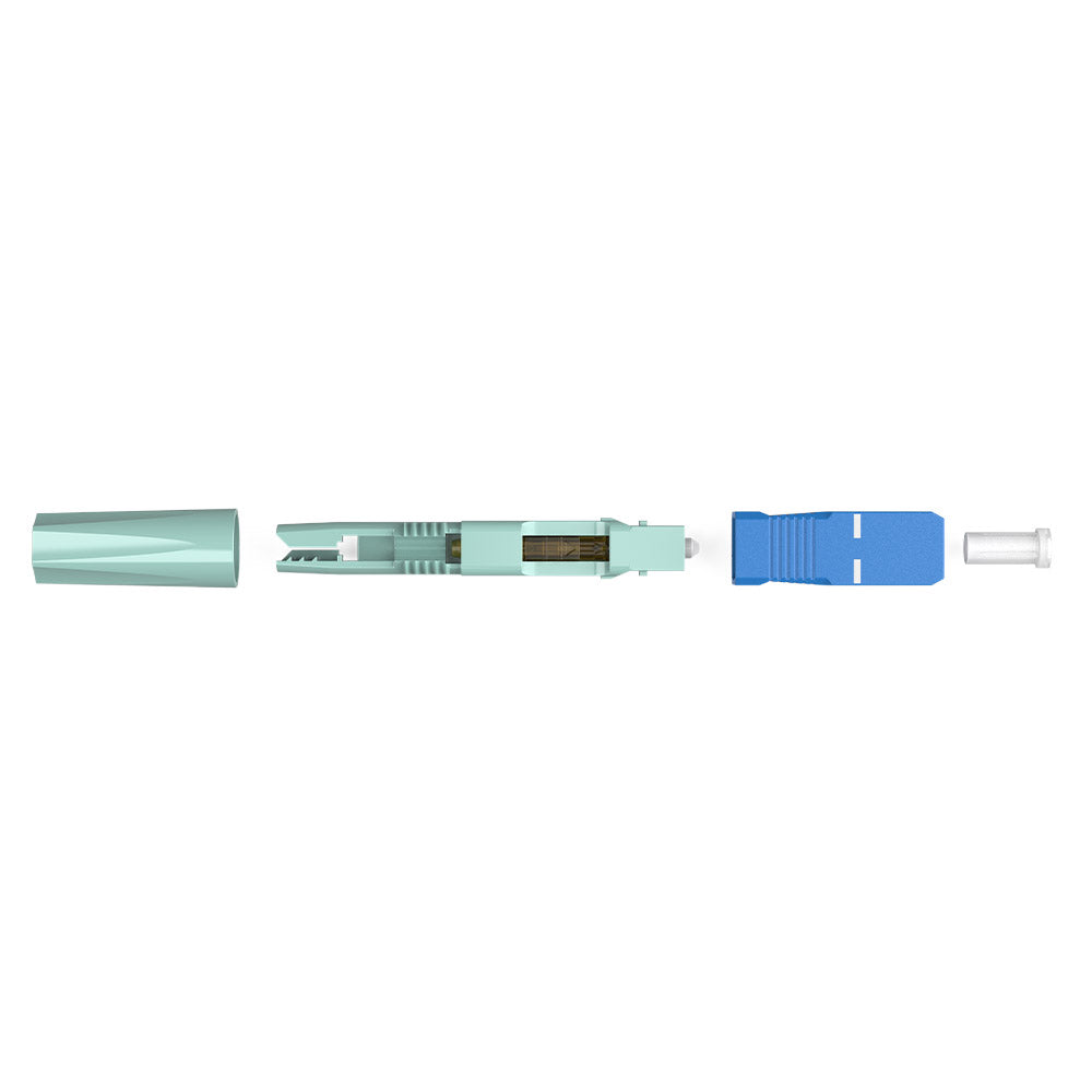 GC2668 - Basic Nut Type